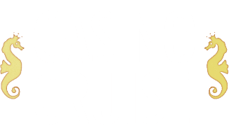 Casino Cruise logo