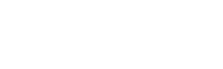 Spinaway logo